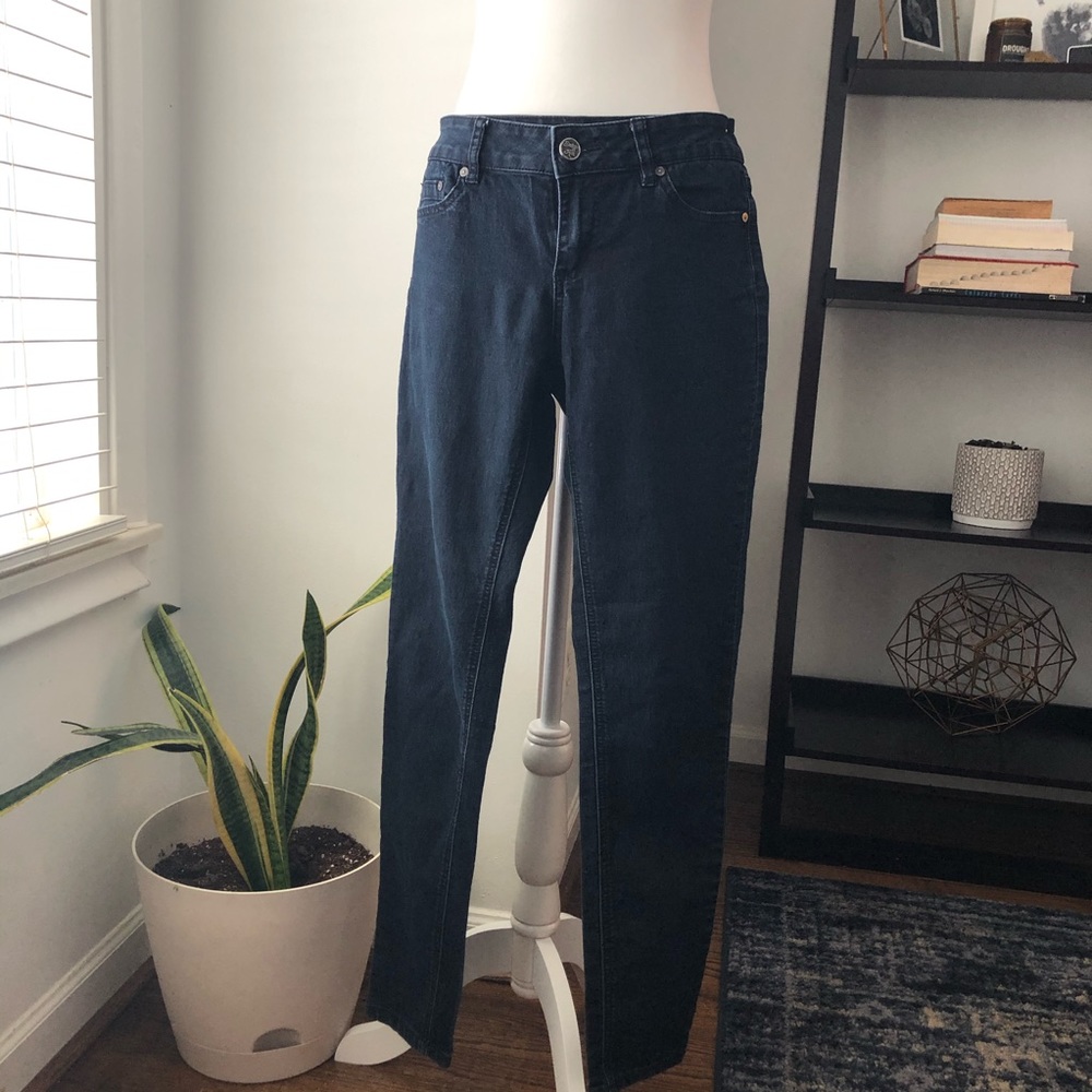 Indigo Rein Jeggings